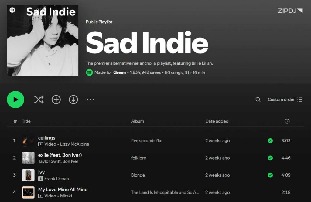 Spotify Playlist Sad Indie